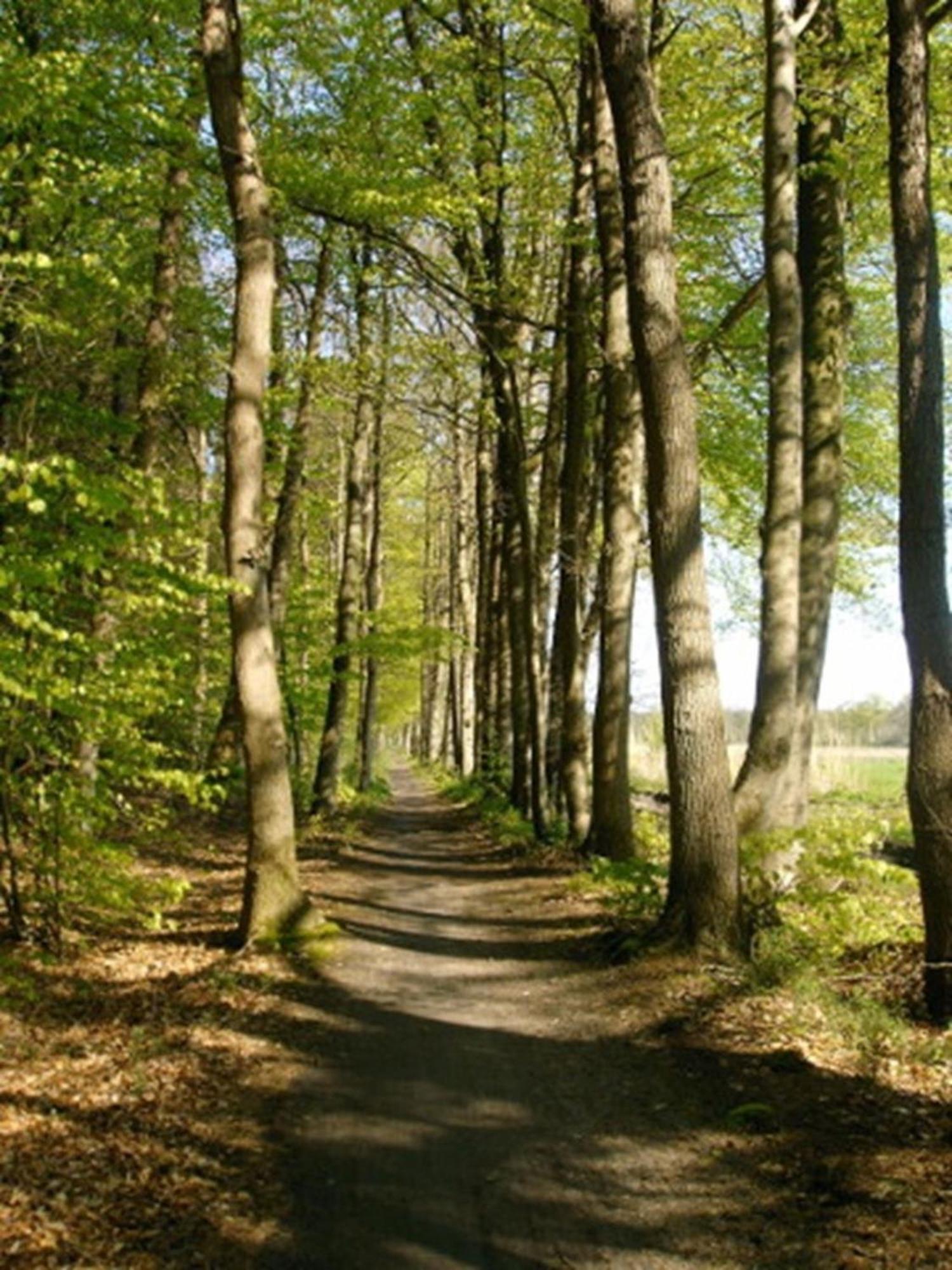 Ammerlaender Ferienwohnung Westerstede Exterior foto